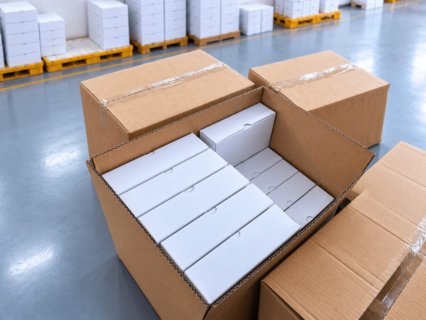 Neutral eyewear boxes arranged inside a shipping carton